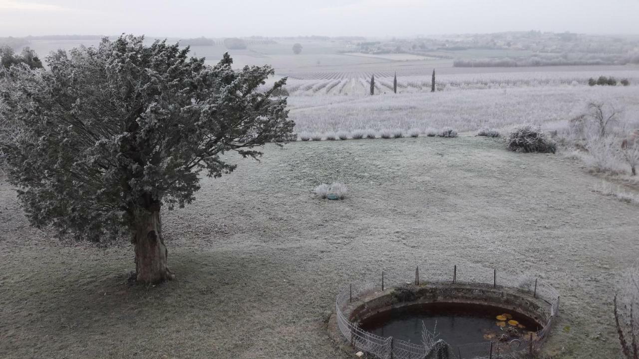 Le Dojo Du Plessis Bed & Breakfast Mareuil  Bagian luar foto